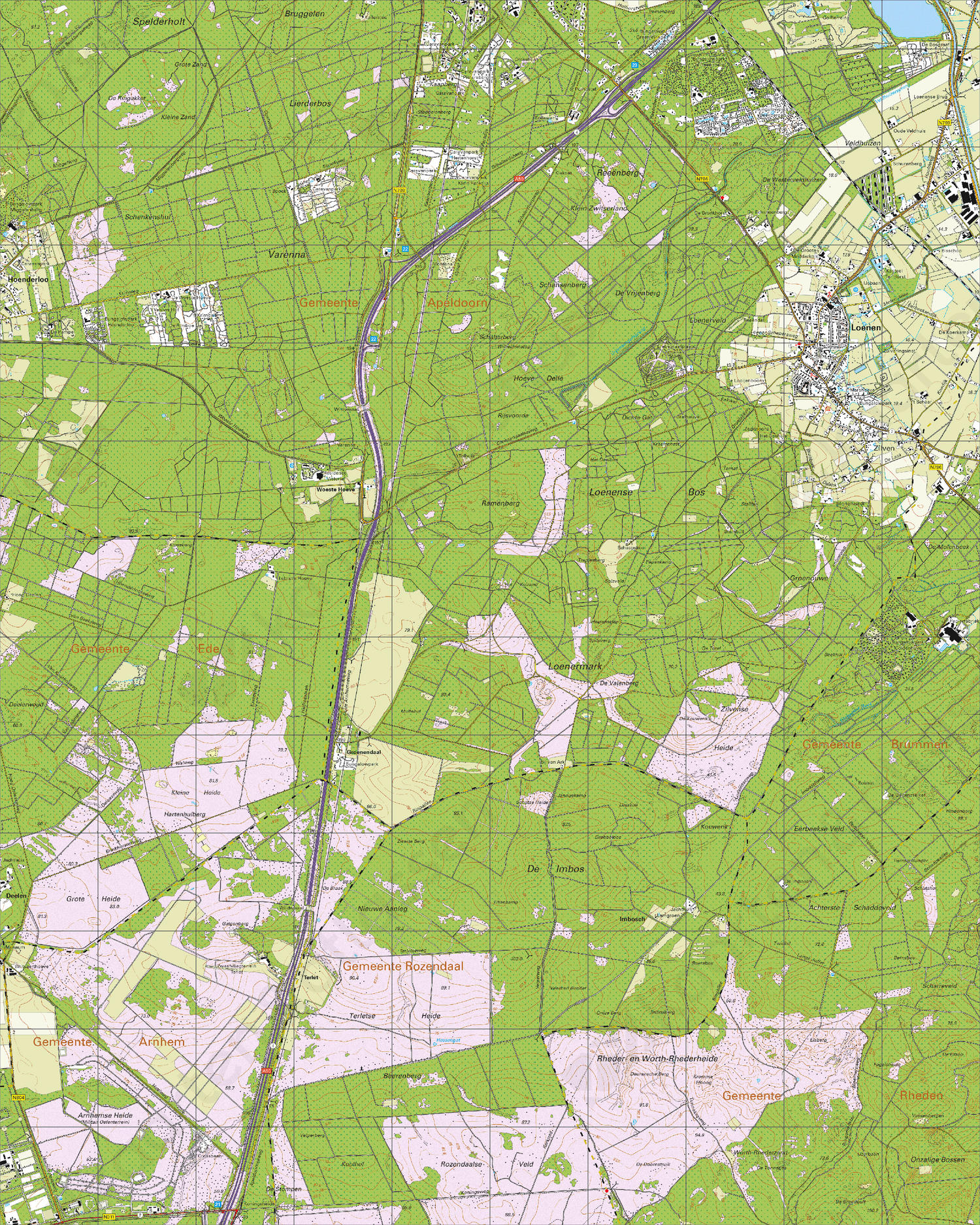 Digitale Topografische Kaart 33D Loenen