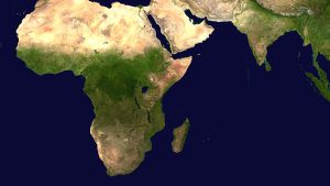 Uitsnede van satteliet wereldkaart die boven-grondse biomassa toont.